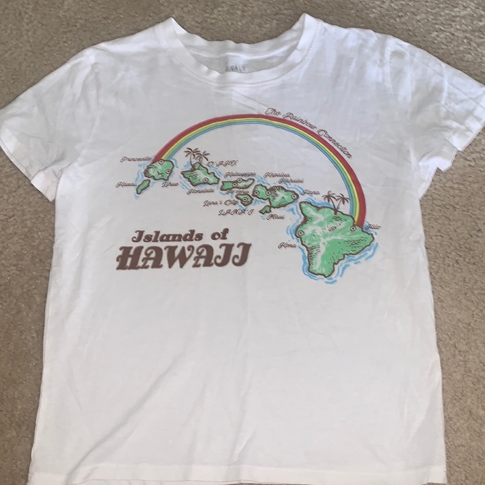 Islands of Hawaii Brandy Melville tee